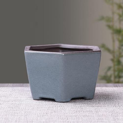 XIAOXIN Maceta de cerámica Retro para Flores, Maceta para Plantas suculentas de espárragos, jarrón Transpirable, contenedor para bonsái, decoración para el jardín y el balcón del hogar