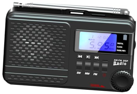 Vaguelly Radio à Affichage Numérique Portative Double Canal Radio avec Fonction Réveil Batterie Rechargeable Mémorisation Stations