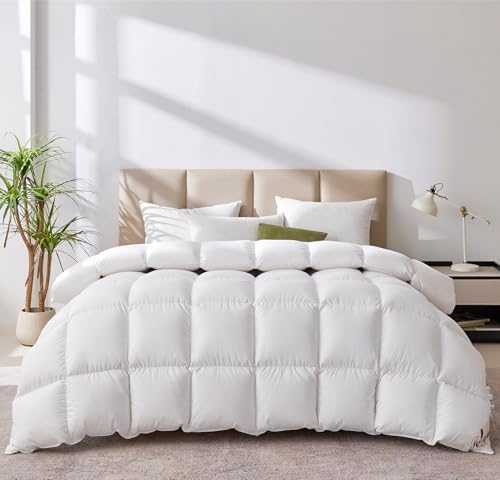 Homyrium Couette Duvet 240x260 Couette en Plume Naturelle 4 Saisons Garnissage 2500g Édredon 260x240 2 Personne Tempéré, Lavable en Machine