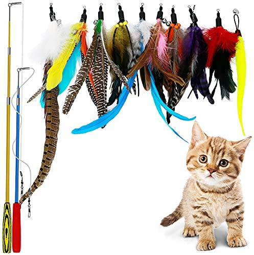 LlorenteRM Katzenspielzeug, interaktives Feder-Teaser mit 2 Stangen, 10 Befestigungen, Wurmvögel, Federn für Kätzchen und Katzen