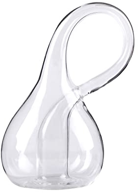 Kleinsche Fläche Vaso Klein bottle spaziale quadridimensionale per gli amanti della scienza Klein bottle per la mente curiosa accattivante bellezza matematica