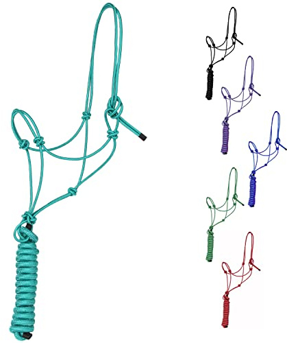 Majestic Ally Cavezza da allenamento in poliestere rigido con 4 nodi da 0,6 cm con guinzaglio abbinato da 3,5 m per cavalli, completa (turchese, completa)