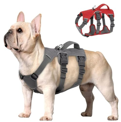 Beirui Ausbruchsicheres Hundegeschirr für kleine, mittelgroße Hunde, reflektierendes Hundegeschirr, kein Ziehen, mit gepolstertem Griff, Training (grau, Brustumfang 30.5–50.8 cm)