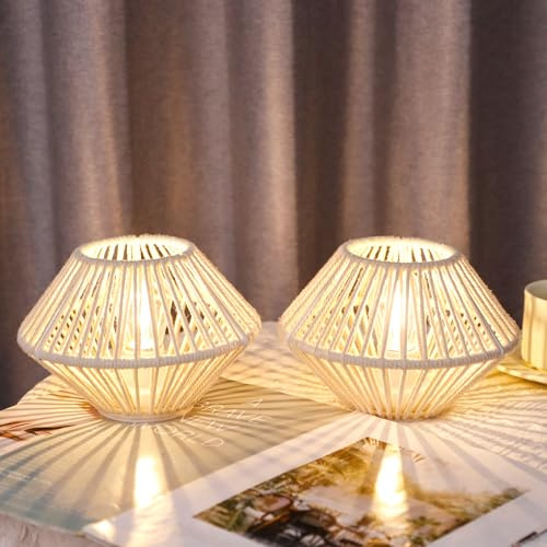 TRIROCKS Set mit 2 kabellosen Tischlampen aus Metall, in Käfigform, batteriebetrieben, mit Edison-Glühbirne, für den Innen-/Außenbereich, perfekt für Garten und Hochzeiten zu Weihnachten