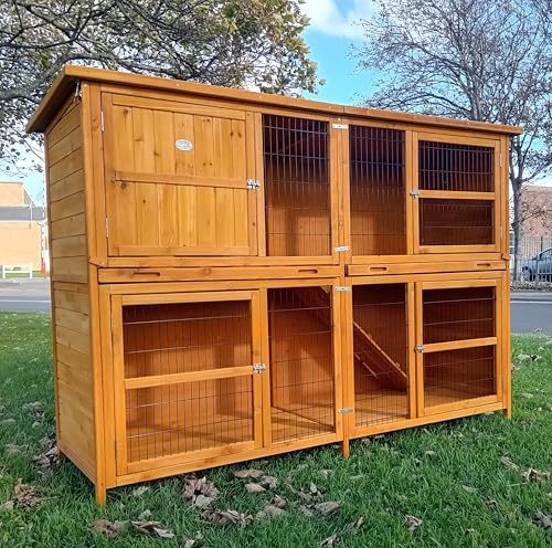 Eggshell HUGE THUMPER DELUXE 2 TIER rabbit hutch XXL Largest in range Highly Predator Resistant Wire rabbit hutch single tier 12ft internal