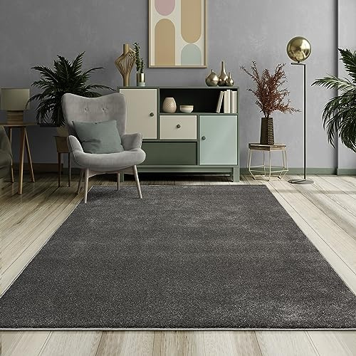 Mia´s mattor Emely modern mjuk kort lugg (17 mm) vardagsrumsmatta