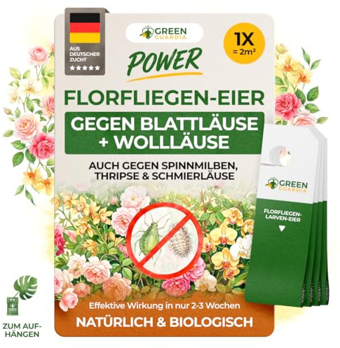 GREEN GUARDIA Power Florfliegenlarven – 1X Karte – Gegen Blattläuse, Wollläuse, Thripse & Spinnmilben – Biologische Schädlingsbekämpfung für Zimmerpflanzen & Zierpflanzen