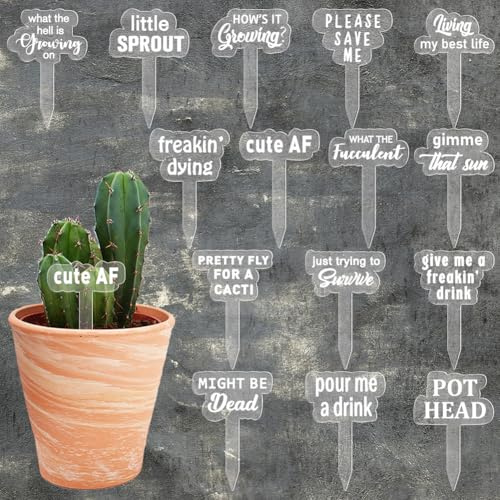 arricraft 15 Stück Lustige Pflanzenmarker Hölzerne Gartenstecker T Typ Gartenschilder Lustige Sprüche Pflanzen Lustige Gartenschilder Gartenschilder Für Drinnen Und Draußen Topfpflanzen Samen Kräuter