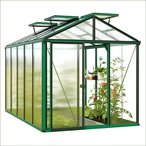 GFP Serre Diamas 21 Premium 235x235 cm avec Cadre de Fondation intégré Panneaux Double paroi 16 mm, Couleur Vert Mousse