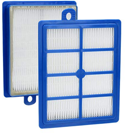Hannets 2 Hochwertige HEPA13 Filter kompatibel mit div. AEG, Philips, Autoclean, SilentStar, Specialist, Studio, TwinClean Modellen - AEF13W, AEF 13 W, H13