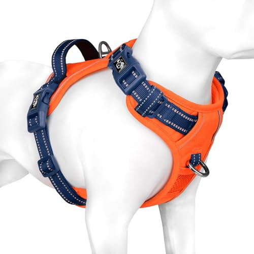 PHOEPET Hundegeschirr Mittelgroße Hunde, Anti Zug Verstellbar,Orange M | No Pull & Vollständig Verstellbar，2 D-Ringe，Schnellverschluss-Schnallen，Atmungsaktive Polsterung，Reflektierend,Mit Griff