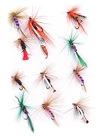 ANCLLO 12-teiliges Fliegenfisch-Set für Forelle, Barsch, schwimmende Angelköder, Stil A