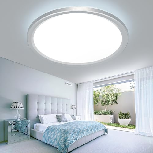 slochi 22CM LED Ceiling Light, 18W 1800LM Bathroom Lights 3000K/4000K/6500K, Flush Round Waterproof Ceiling Fittings Lighting for Bedroom Kitchen Hallway Indoor Stainless Steel