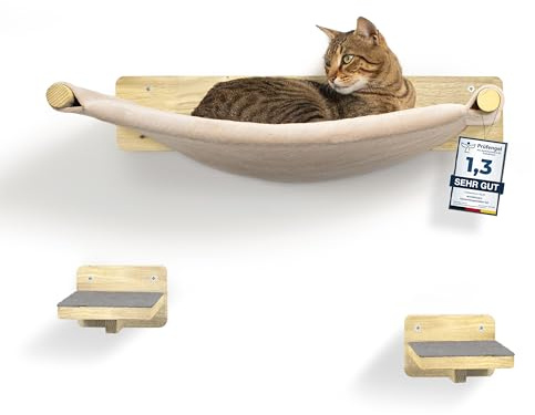 WOOWOOD 2 x klättervägg katter – 2 x kattrappvägg [massivt trä] – klösträd vägg – hängmatta katt – klösträd – kattmöbel – kattvägg – klättervägg set med katter
