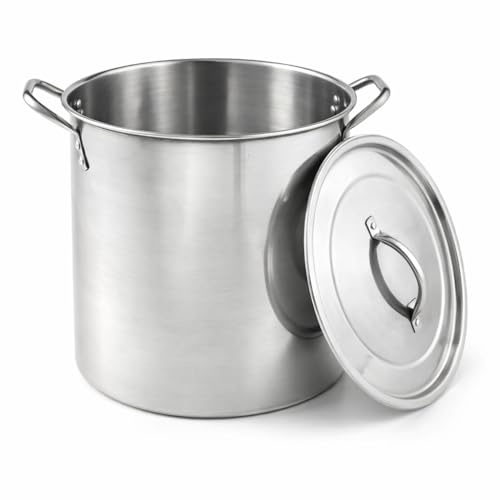 6 Litre Stock Pot with Stainless Steel Lid | Large Cooking Pot for Soup, Stew, Pasta and Brew Boiling | Heavy-Duty Stainless Steel Cookware for Home Kitchen