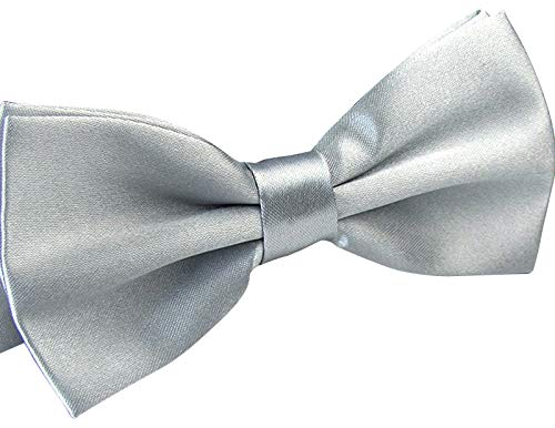 WELROG Hochzeitsschmuck Fliege Verstellbar Satiniert Silber