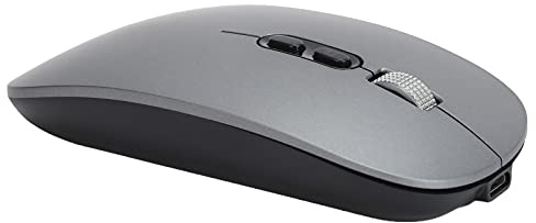 Jectse Souris Rechargeable à Faible Consommation D'énergie 2,4 GHz sans Fil Optiquement Silencieux pour L'ordinateur 1600dpi pour MacOS 13, Matériau ABS