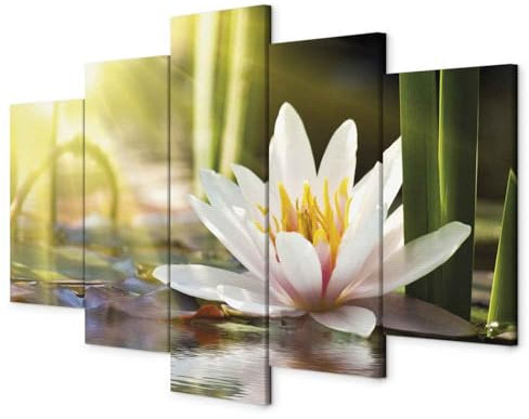 B&D XXL - Akustikbild 225x112 cm Bilder mit Akustikschaumstoff Hochleistungsschallabsorber Schallschutz Leinwandbild XXL 5 tlg Wandbild b-B-0120-b-n