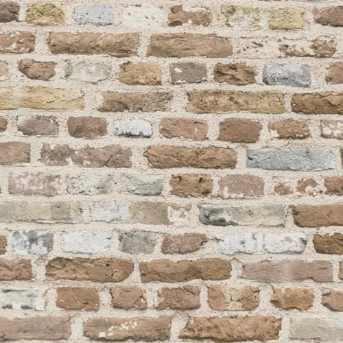 BRICOFLOR Papier Peint Bricks & Stones 388293