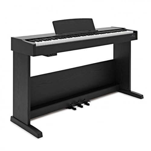 VISIONKEY-500 Piano Digital 88 Teclas Contrapesadas Tamaño Completo