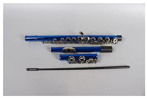 DZDZDZ querflöte Instrument 16 Löcher Flöte E Key Nickel Überzogene Konzertflöte Mit Reinigungstuch Stickhandschuhe Gepolsterte Tasche Einsteigerflöte (Color : Blue)