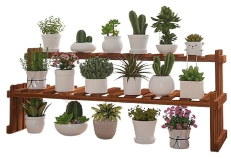 UHJKLA Pflanzenpräsentationsständer, kleines Pflanzenregal, Leiterregal für den Innenbereich, 2 Ebenen, Desktop-Blumenhalter, Ständer, Fenster, Holz, Pflanzengitter für Sukkulen