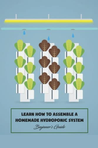 Learn How to Assemble a Homemade Hydroponic System: Beginner's Guide