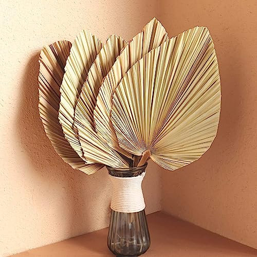 5Pcs 18 Large Natural Trimmed Palm Spear Leaves Fans for Boho Wedding Decor, Hawaiian Luau Party, Holidays Kitchen Table, Dried Flowers Pampas Grass Decoration