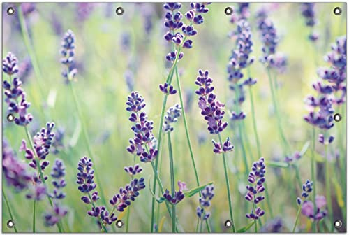 Wallario Outdoor-Poster für Garten oder Balkon Lila Blumenfreude - Violette Pflanzen auf der Wiese, Motivbanner Größe: ca. 80 x 120 cm, Outdoor-Bild