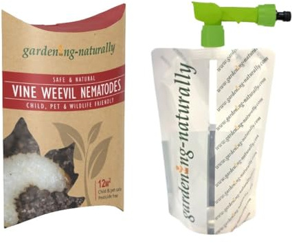 Vine Weevil Nematodes 12sq.m Gardening Naturally with Bag Applicator