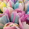 Tulipán bulbos.bulbos de Tulipán.Tulipán raro.Flores perennes.Planta perenne, resistente y de hoja perenne. NVNJHJN.-15 bulbos-C