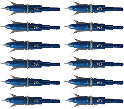ZZUUS 12Pcs Blue Wizard Broadheads 100 Grain 2 3 Punte di Freccia da Caccia Tagliate per Arco Composto/ricurvo/Balestra