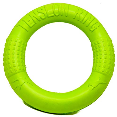 PROtastic Floating ring dog toy - Water play, tug toy, frisbee. 6inch perfect for small to medium dogs.