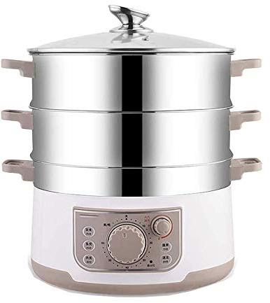 REJOON Vaporera eléctrica Multifuncional for el hogar, Grado alimenticio, Acero Inoxidable 304, Olla de Vapor de Gran Capacidad, Enchufe en Olla de Vapor eléctrica