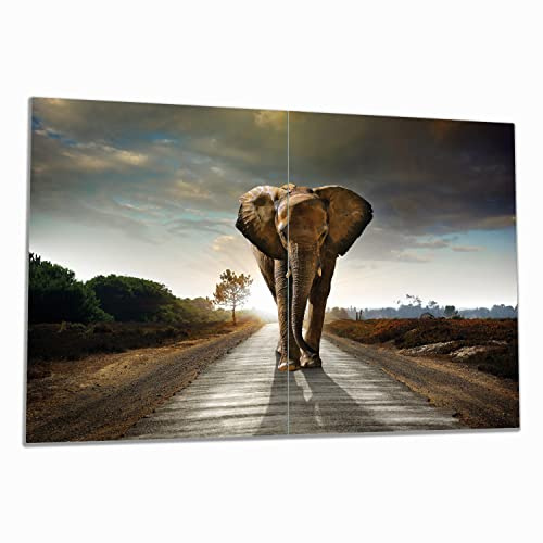 Wallario Herdabdeckplatte/Spritzschutz aus Glas, 2-teilig, 80x52cm, für Ceran- und Induktionsherde, Elefant bei Sonnenaufgang in Afrika