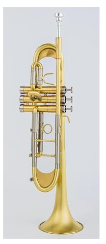 TR-650 Trompete Bb/C Flachmessing Goldlackiert Exquisites langlebiges Messing-Musikinstrument mit Trompetenmundstück