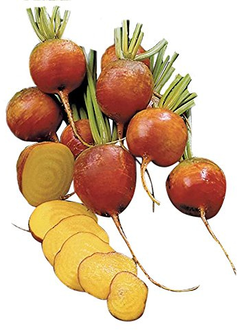 Burpee Golden Beet Seeds 200 seeds