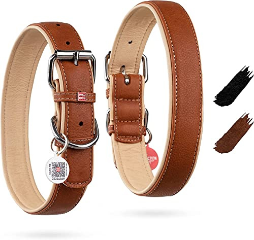 WAUDOG Leder Hundehalsband - Großer & Mittelgroßer Hund, Welpen - Verstellbar, Echtes Leder, Handgefertigt, Digitale Hundemarke, Schwarz, Braun, 38-49 cm Länge, 25 mm Breite, Unisex, 1 Stück