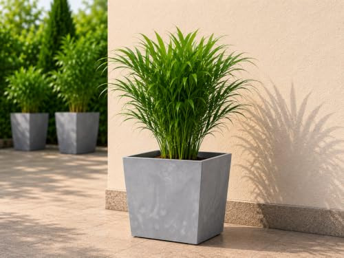 Gordanluk Square Planter Concrete Effect Plant Pot with Plant Riser Indoor Outdoor Flower Pot (Concrete Grey, 25cm x 25cm)