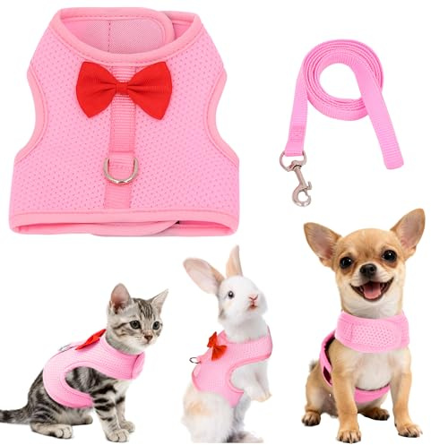 AIITLE Ensemble harnais et laisse avec nœud mignon, harnais en maille douce et respirante pour lapins, chatons, furets, chiots et petits animaux de compagnie, rose, taille L