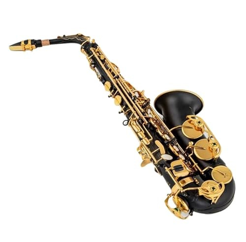 Professionelles Saxophon Eb Altsaxophon Mattschwarz Rot Blau Lila Überzogene Geschnitzte Oberfläche E Flaches Instrument Saxophon Mit Koffer(Black)