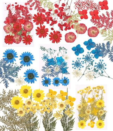 60 Pièces Ensemble de Fleurs Séchées Pressées Naturelles,pour DIY Dry Flower Styling, Décoration d'album Photo, Emballage Cadeau