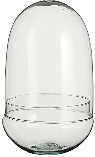TERRARIO CRISTAL CON RESPIRADERO Y BASE OVALADA DE 30CM