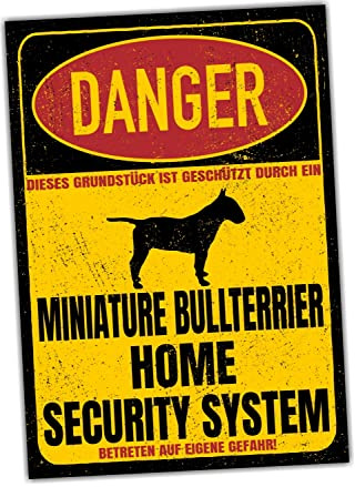 Miniature Bullterrier Mini Bully Schild Danger Security System Türschild Hundeschild Warnschild Hund Sicherheitsschild Hund Privatgrundstück Hundewarnung Warnung vor dem Hund