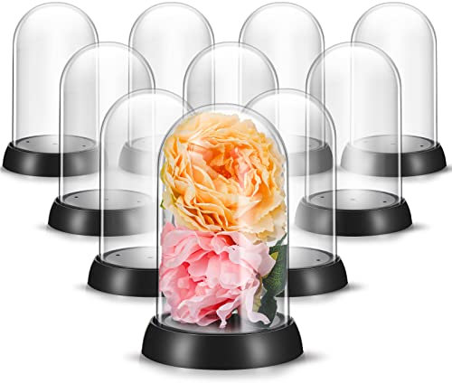 Zhengmy 12 Stück Kunststoff-Vitrinen, Glockenglas mit Sockel, transparente Glocke, Dekoration für Sammlerstücke, Rose, Büro, Zuhause, Tischdekoration (oval)
