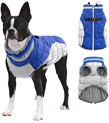CITÉTOILE Hundkappa vinter, hundjacka med sele, vattentät hundrock med fleecefodrad, för små hundar, varm hundväst med reflekterande, för små, medelstora, stora hundar, blå, XL