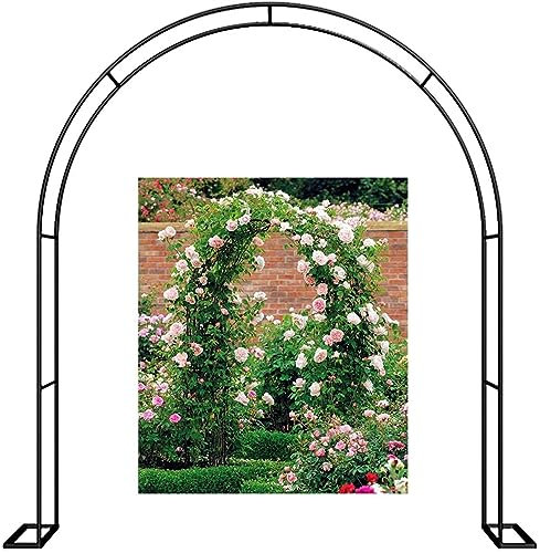 Arche de jardin en métal pour plantes grimpantes, tonnelle de rose robuste avec bases, grande arche de mariage, support de plantes d'extérieur, idéal pour diverses plantes grimpantes, largeur 200 x