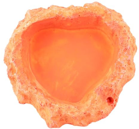 BELLIFFY Reptilien-futternapf Krabbelfutternapf Eidechsen-schildkröten-futternapf Rutschfester Reptiliennapf Wasseraufbewahrungsbecken Reptilienbedarf