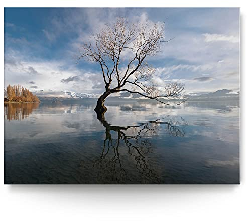 BilderKing Wandbild Baum im See Neuseeland - 200cm x 150cm Leinwand auf 4cm Keilrahmen