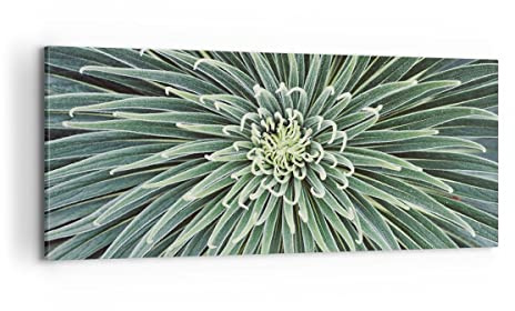 ARTTOR Leinwandbild 100x40cm Wandbild Botanik Blumen - 4905 | Agave Grün Pflanze Panorama Groß Wanddekoration Wohnzimmer Schlafzimmer Wanddeko Wand Kunstdruck Wandkunst Wall Decor ARTTOR